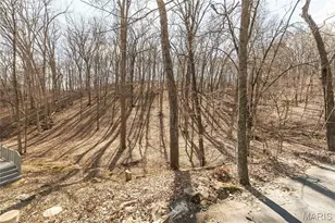 832 Stone Bridge Springs Dr, Wildwood, MO 63005 - Photo 8