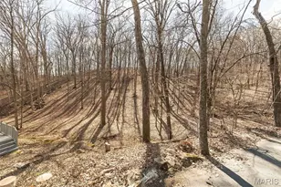 832 Stone Bridge Springs Dr, Wildwood, MO 63005 - Photo 8