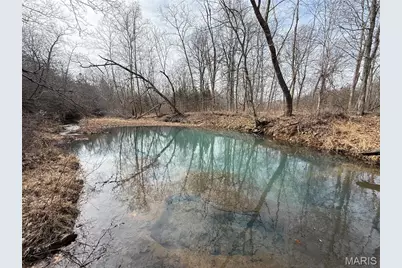 Tract 2 & 3 Off Madison 248, Fredericktown, MO 63645 - Photo 36