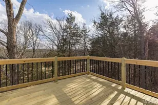 830 Stone Gate Dr, De Soto, MO 63020 - Photo 38