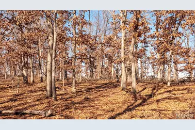 27001 Highway T, Grover, MO 65078 - Photo 26