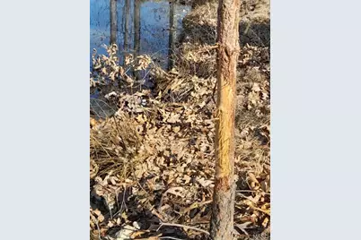 10272 Old Black River Road, Potosi, MO 63664 - Photo 8