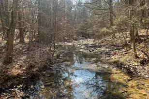 10272 Old Black River Rd, Potosi, MO 63664 - Photo 1