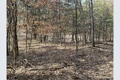 10272 Old Black River Road, Potosi, MO 63664 - Photo 2