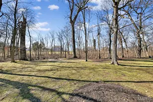 26 Dalton Valley Dr, Saint Peters, MO 63376 - Photo 68