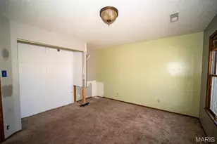 131 Blue Ridge Trce, Festus, MO 63028 - Photo 32