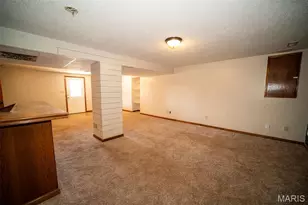 131 Blue Ridge Trce, Festus, MO 63028 - Photo 14