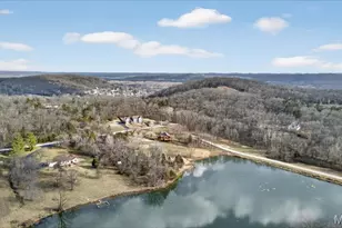 1102 Lakeview Dr, Pacific, MO 63069 - Photo 68