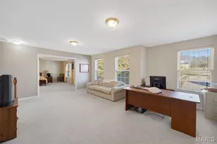 6129 Arbor Green Dr, Unincorporated, MO 63129 - Photo 18