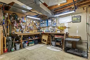 1042 E Lafitte Dr, Bonne Terre, MO 63628 - Photo 66