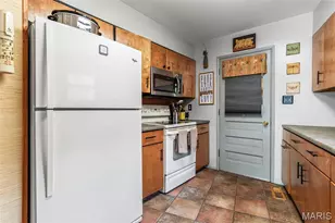 1042 E Lafitte Dr, Bonne Terre, MO 63628 - Photo 68