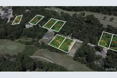 9648 Moonshine Drive, Hillsboro, MO 63050 - Photo 4