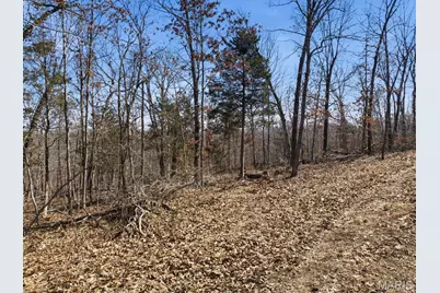 0 Hill Side Dr, De Soto, MO 63020 - Photo 22