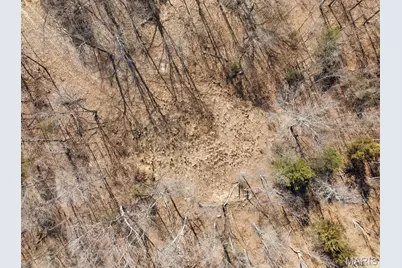 0 Hill Side Dr, De Soto, MO 63020 - Photo 6