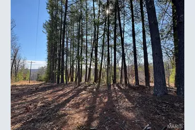 224 Chapel Park Drive, Sullivan, MO 63080 - Photo 58