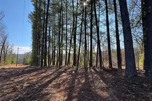 224 Chapel Pk Dr, Sullivan, MO 63080 - Photo 58