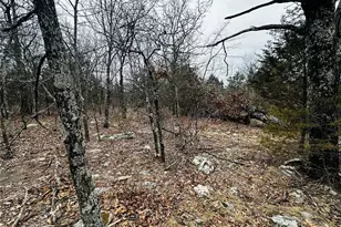 1920 Lake Forest Dr, Park Hills, MO 63601 - Photo 4