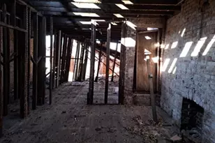 1131 Walton Ave, Saint Louis, MO 63113 - Photo 6