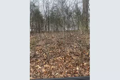 9679 Moonshine Drive, Hillsboro, MO 63050 - Photo 4