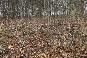 9679 Moonshine Dr, Hillsboro, MO 63050 - Photo 4