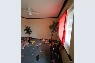 10117 Royal Drive, Saint Louis, MO 63136 - Photo 2