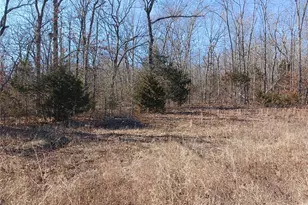 837 Pine Ridge Rd, Bonne Terre, MO 63628 - Photo 1