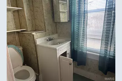 313 Fillmore Street, Saint Louis, MO 63111 - Photo 10