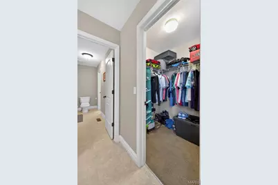 319 Magnolia Valley Drive, O'Fallon, MO 63366 - Photo 60