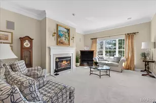 14738 Thornbird Manor Pkwy, Chesterfield, MO 63017 - Photo 14