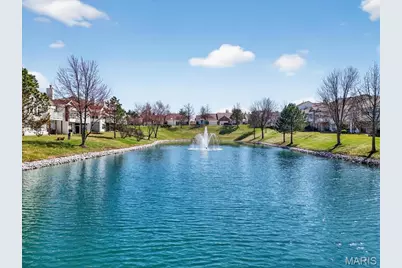 14738 Thornbird Manor Parkway, Chesterfield, MO 63017 - Photo 30