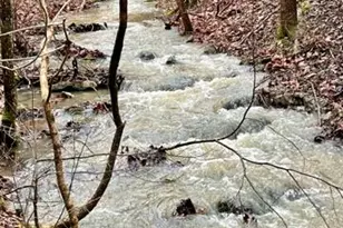 21805 Revere Ln, Waynesville, MO 65583 - Photo 68