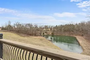 3773 Dunne Spg Rd, Washington, MO 63090 - Photo 46