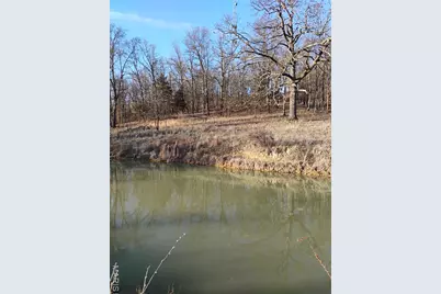 12315 Stave Mill Road, Cabool, MO 65689 - Photo 4