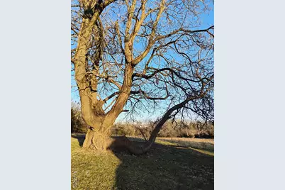 12315 Stave Mill Road, Cabool, MO 65689 - Photo 2