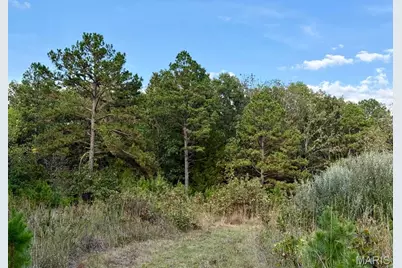 15306 Bucyrus Drive Drive, Bucyrus, MO 65444 - Photo 40