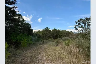 15306 Bucyrus Drive Drive, Bucyrus, MO 65444 - Photo 42