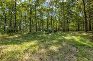 2932 Eagle Pointe Dr, Wentzville, MO 63385 - Photo 54