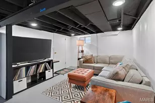 3161 Ohio Ave, Saint Louis, MO 63118 - Photo 14