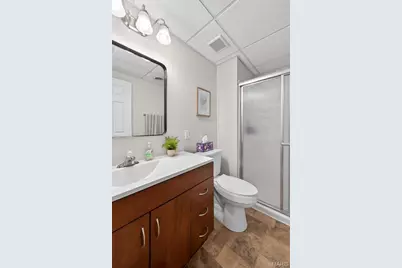 118 Arabian Path, Saint Peters, MO 63376 - Photo 54