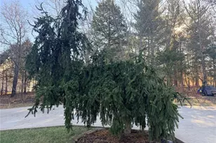 11942 Cedar Side Cir, Rolla, MO 65401 - Photo 60