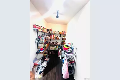 9383 Audrain Road 625, Laddonia, MO 63352 - Photo 18