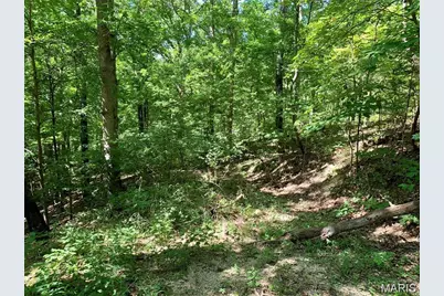 Lot 1 Dogwood Acres, Imperial, MO 63052 - Photo 1