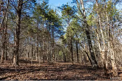 12821 Lone Oak Lane, De Soto, MO 63020 - Photo 82