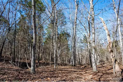 12821 Lone Oak Lane, De Soto, MO 63020 - Photo 86