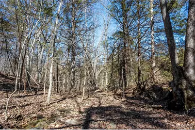 12821 Lone Oak Lane, De Soto, MO 63020 - Photo 54