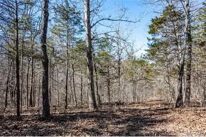 12821 Lone Oak Lane, De Soto, MO 63020 - Photo 74