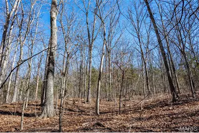 12821 Lone Oak Lane, De Soto, MO 63020 - Photo 66