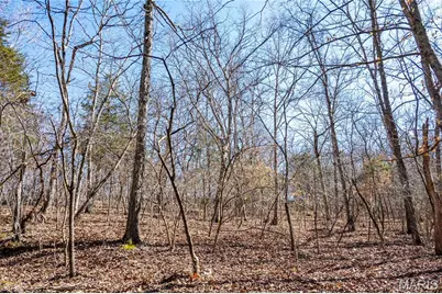 12821 Lone Oak Lane, De Soto, MO 63020 - Photo 78