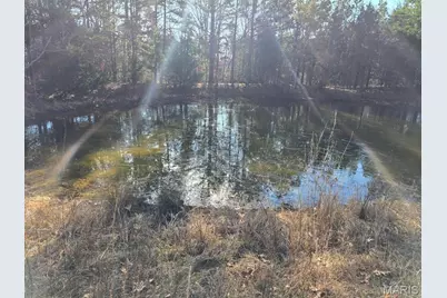 000 Airport Road, Houston, MO 65483 - Photo 12