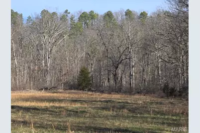 000 Airport Road, Houston, MO 65483 - Photo 8